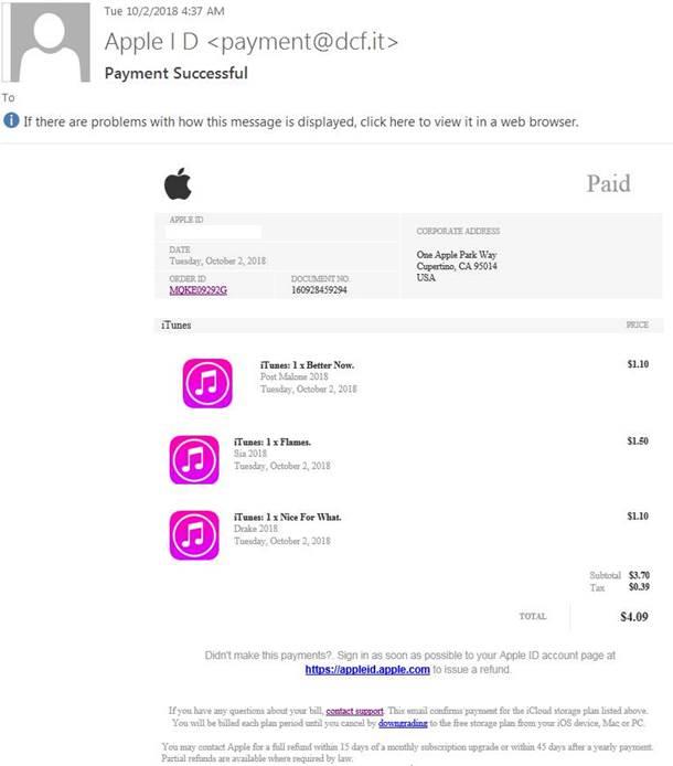 Payment successful phish