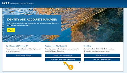 Screenshot for step 1 Click “RESET YOUR UCLA LOGON ID PASSWORD.”